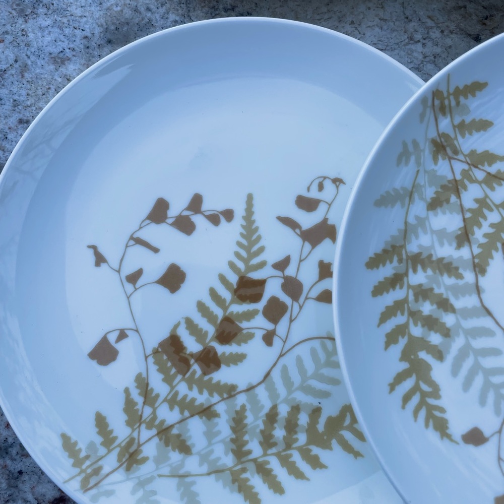 Six Mikasa 6” plates one china “Lacy fern” - Picture 3 of 6